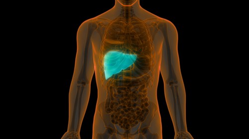 Acute Liver Failure: Symptoms and Causes