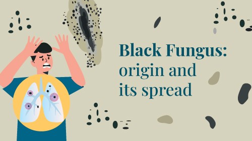 How Does Black Fungus Spread?